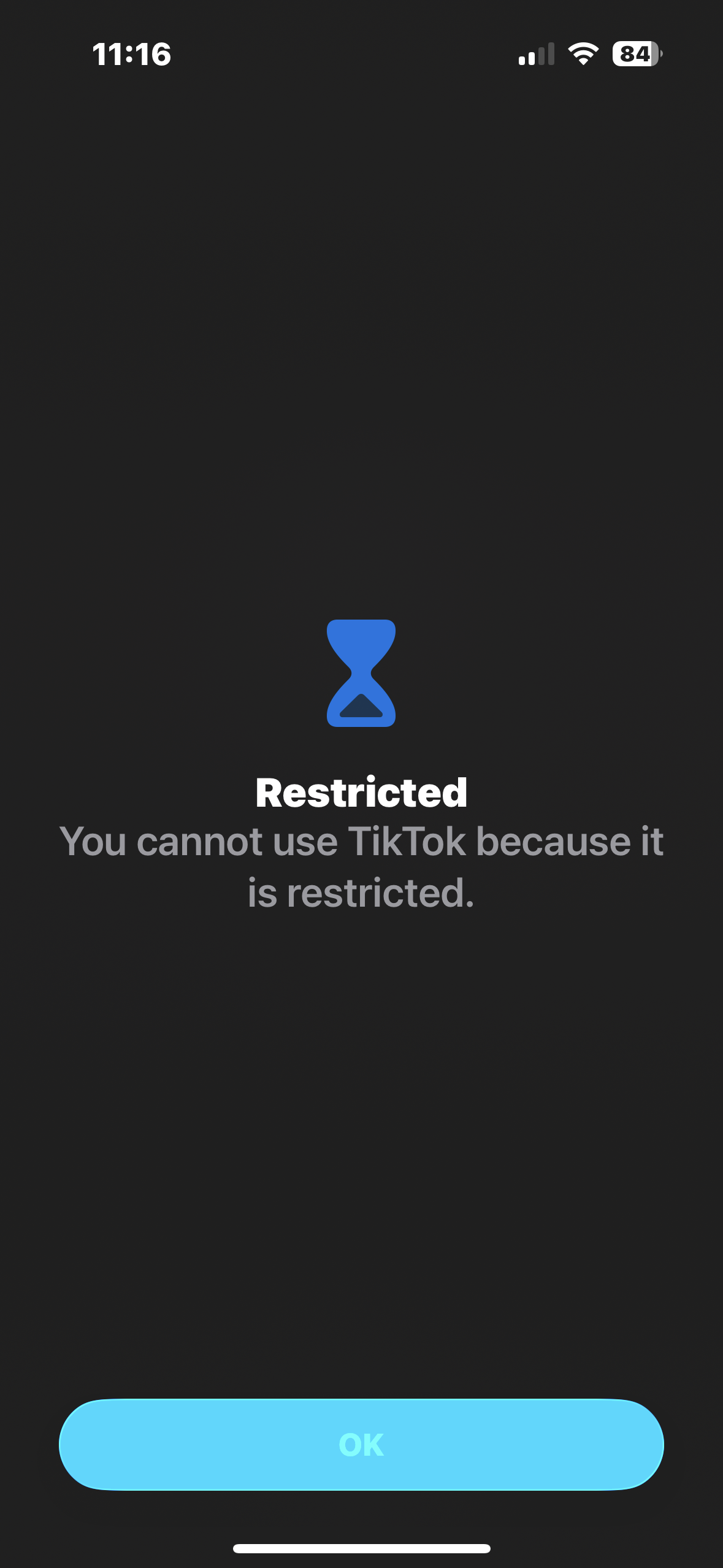 TikTok blocked — Restricted screen